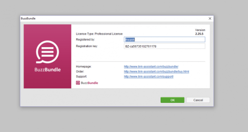 BuzzBundle 2.66.40 Crack + License Key Latest Free Download 2022